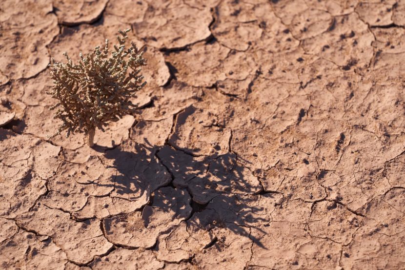 che cosa è la resilienza